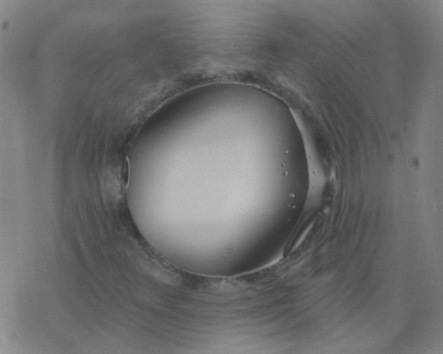 X0000074321348200609081957