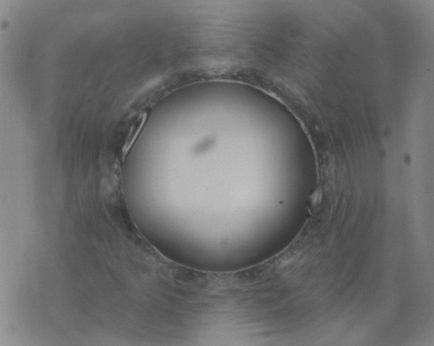 X0000074321349200609081957