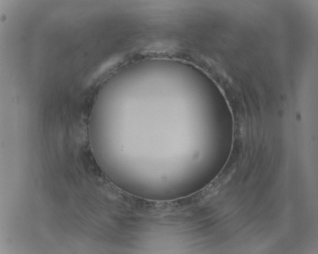 X0000074321350200609081957