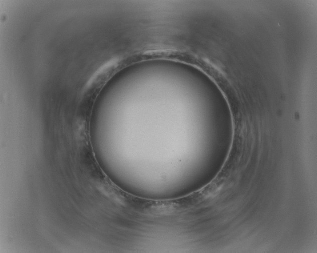 X0000074321351200609081957