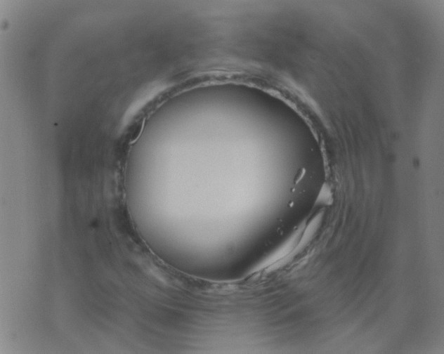 X0000074321352200609081957