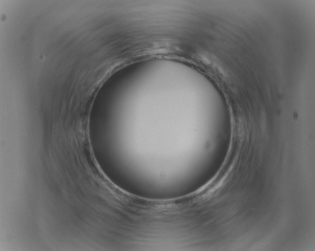 X0000074321353200609081957