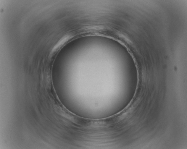 X0000074321354200609081957