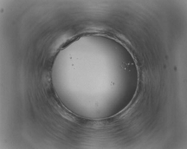 X0000074321355200609081957