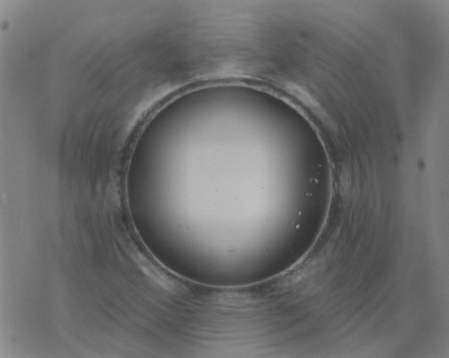 X0000074321356200609081957