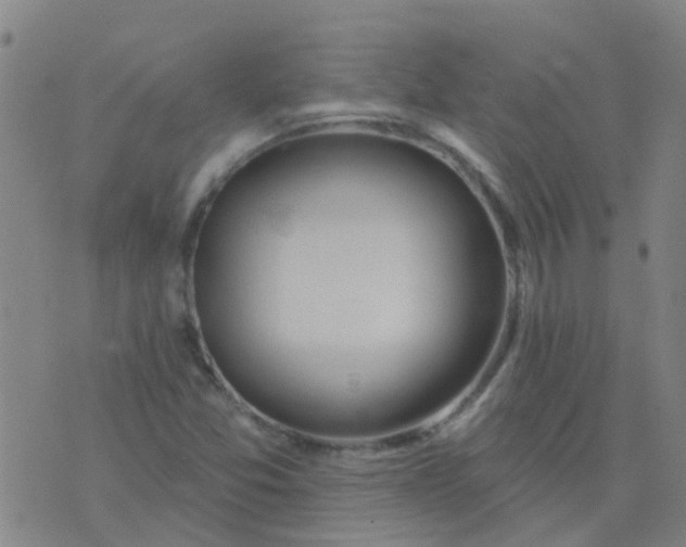 X0000074321357200609081957