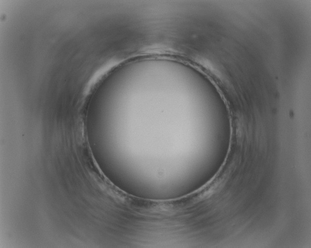 X0000074321358200609081956