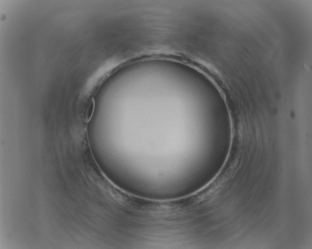 X0000074321359200609081956