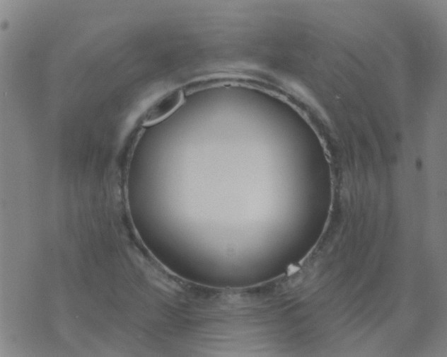 X0000074321360200609081956