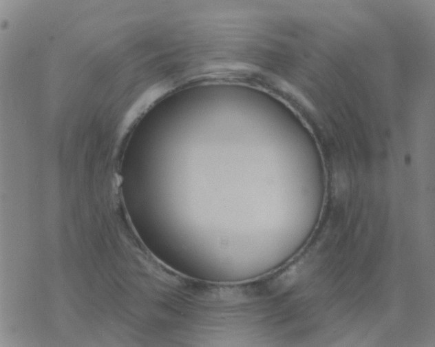 X0000074321362200609081956