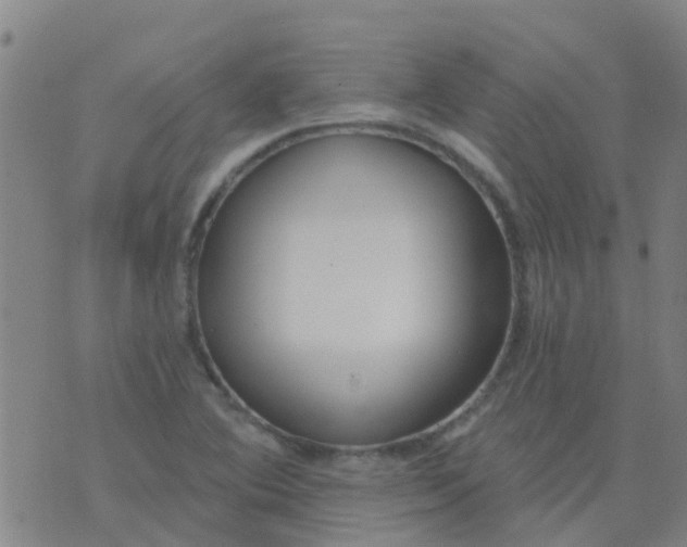 X0000074321364200609081956