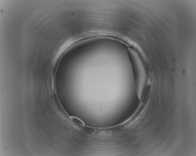 X0000074321365200609081956