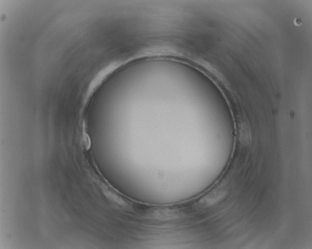 X0000074321366200609081956