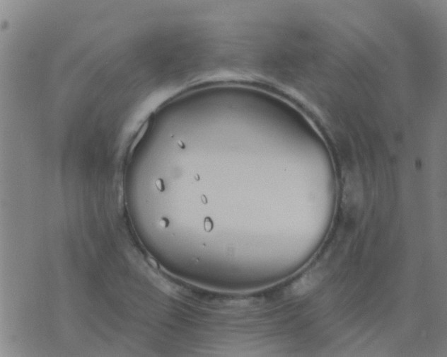 X0000074321367200609081956