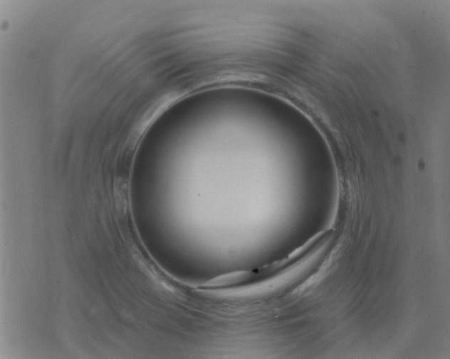 X0000074321369200609081956