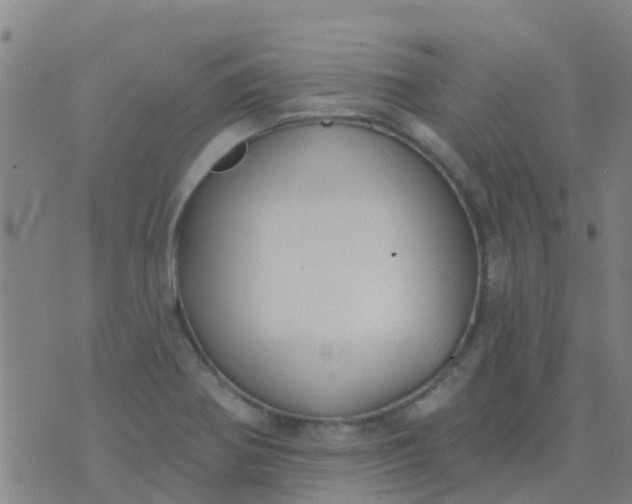 X0000074321370200609081956