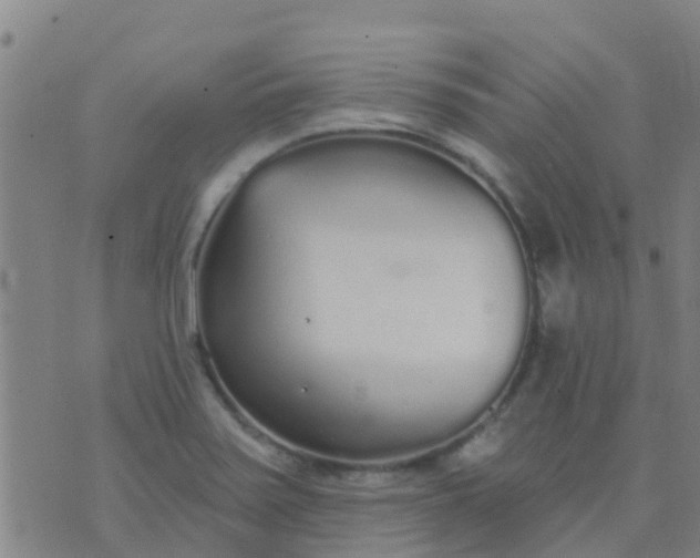 X0000074321371200609081956