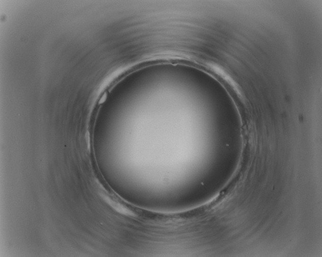 X0000074321372200609081956