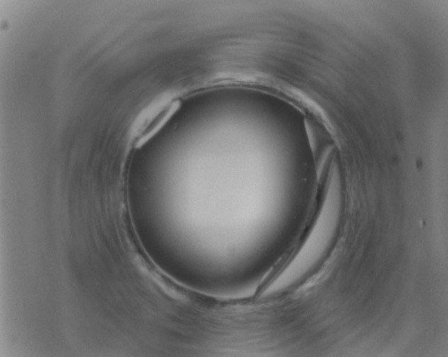 X0000074321373200609081956