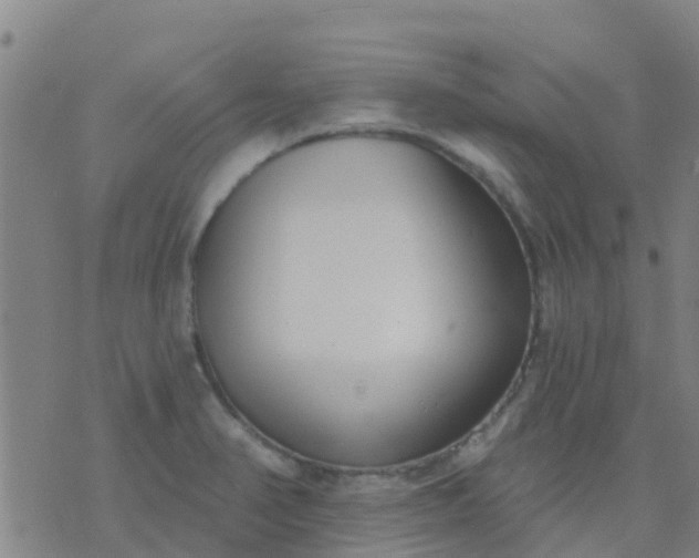 X0000074321374200609081956