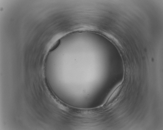 X0000074321375200609081956