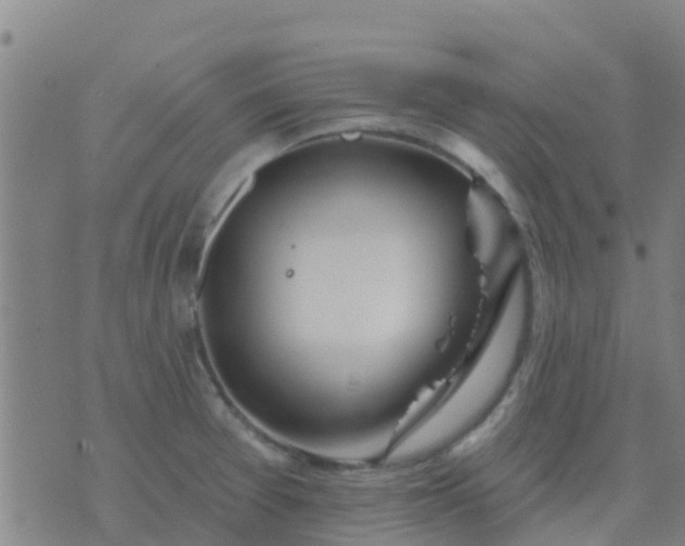 X0000074321377200609081956