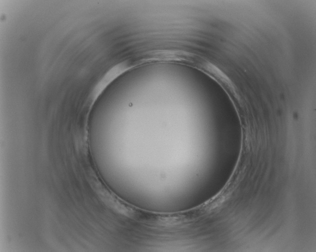 X0000074321378200609081956