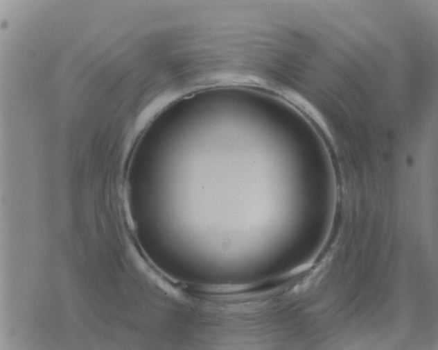 X0000074321381200609081956