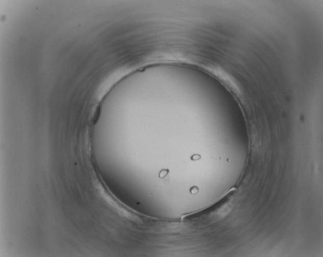 X0000074321382200609081956