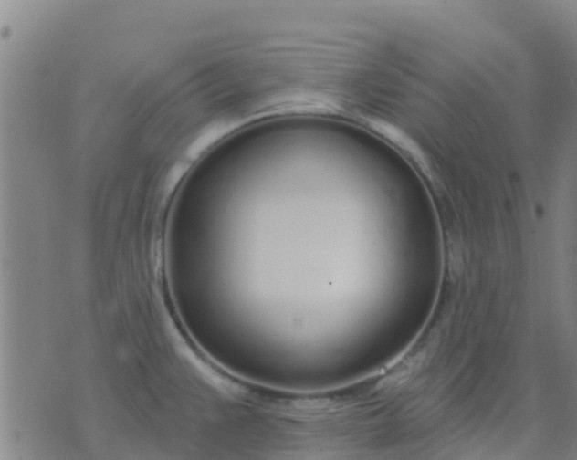 X0000074321383200609081956