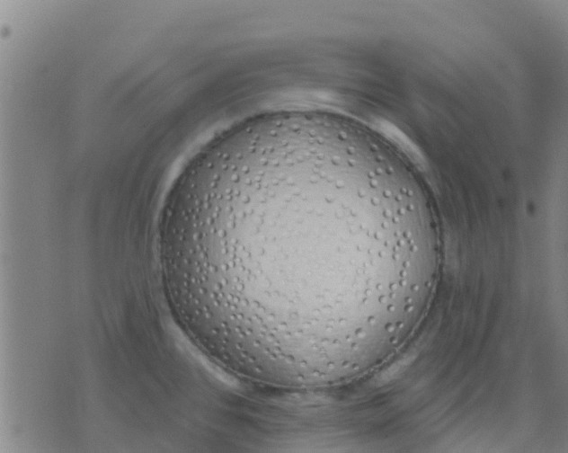 X0000074321384200609081956