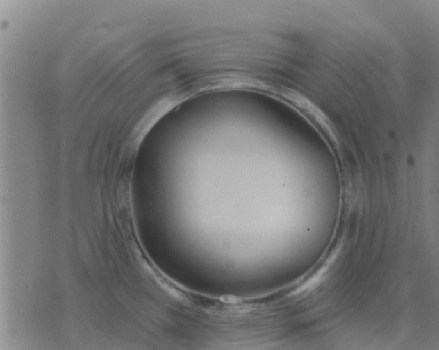 X0000074321385200609081956