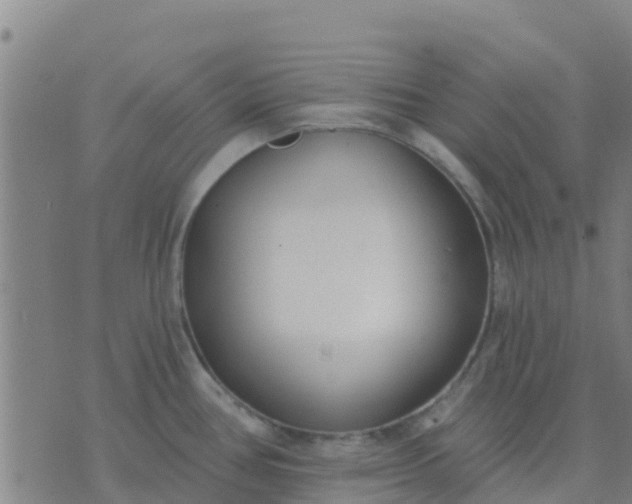 X0000074321386200609081956