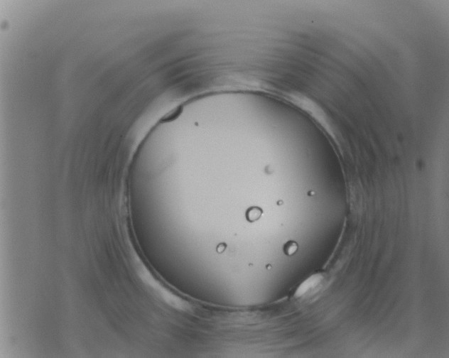 X0000074321387200609081956