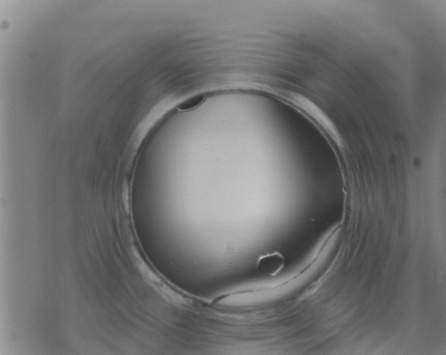 X0000074321388200609081956