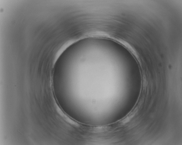 X0000074321390200609081956