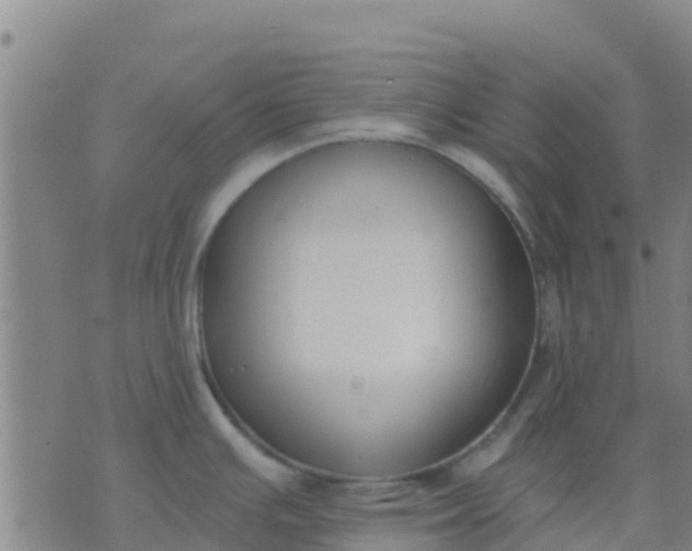 X0000074321391200609081956