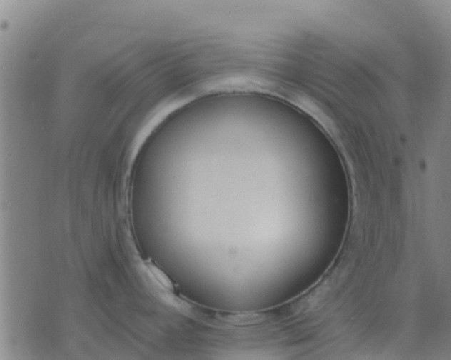 X0000074321392200609081956