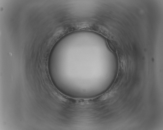 X0000074321393200609081955