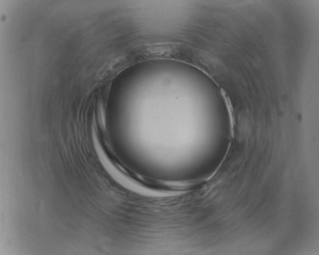 X0000074321394200609081955