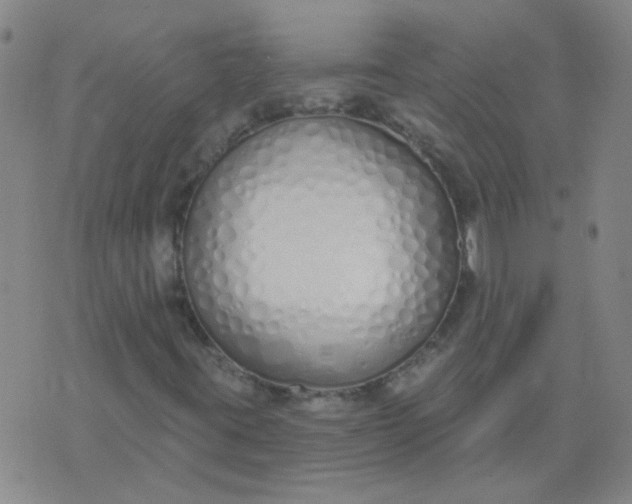 X0000074321395200609081955