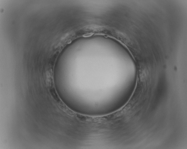 X0000074321397200609081955