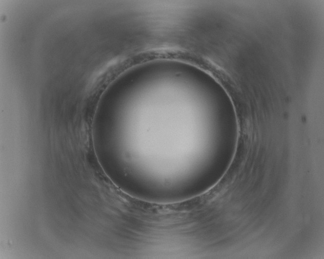 X0000074321398200609081955