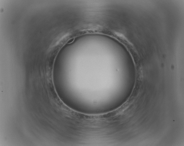 X0000074321399200609081955