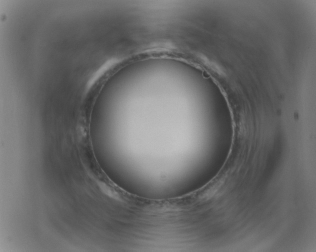 X0000074321400200609081955