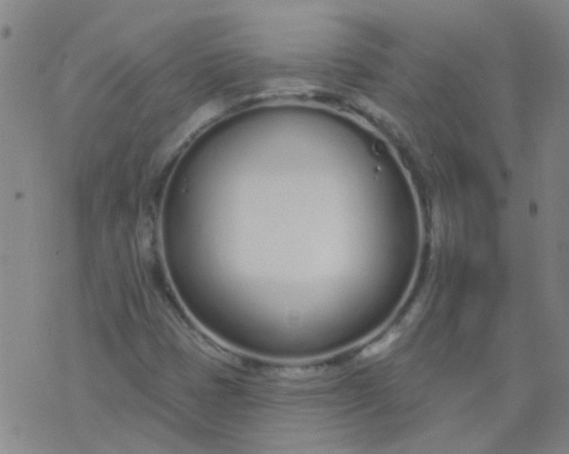 X0000074321401200609081955