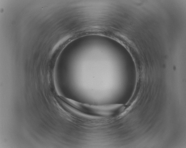 X0000074321402200609081955