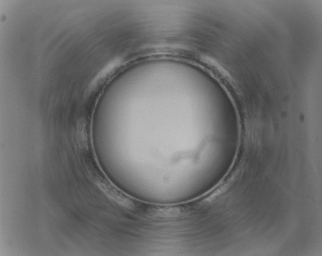 X0000074321403200609081955