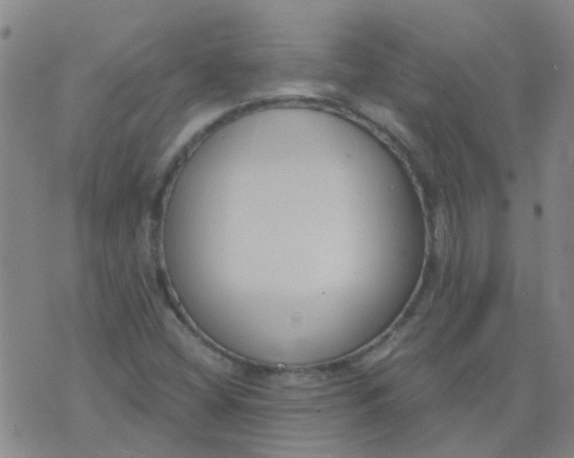 X0000074321404200609081955