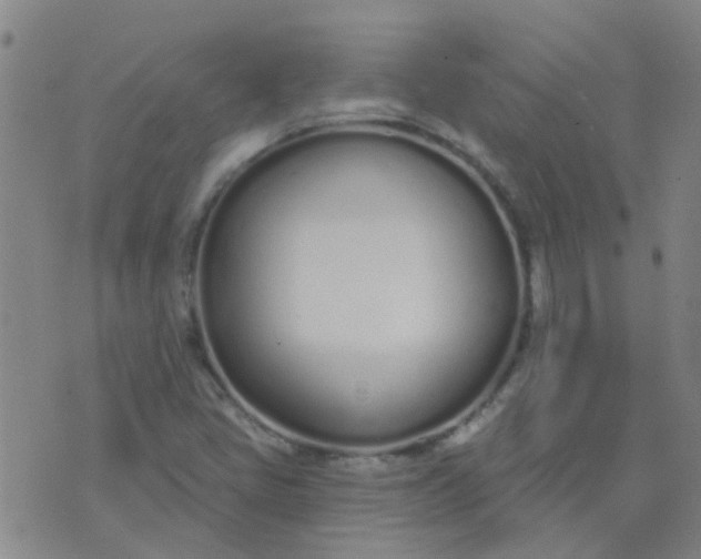 X0000074321405200609081955